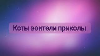 Коты воители приколы #1 /кв