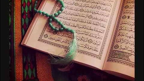 سورة الرحمن بصوت القارئ (وديع اليمني)
