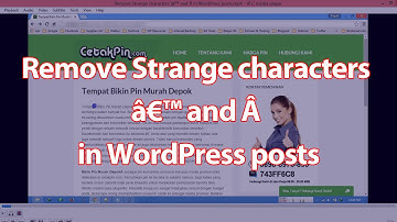 Remove Strange characters â€™ and Â in WordPress posts