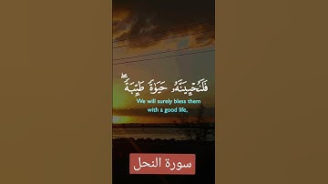 سورة النحل #quran #دعاء #دويتو #صباحالخير #صباح_الخير #تيك_توك #دعاءمستجاب #حالاتواتس #لايك #duet