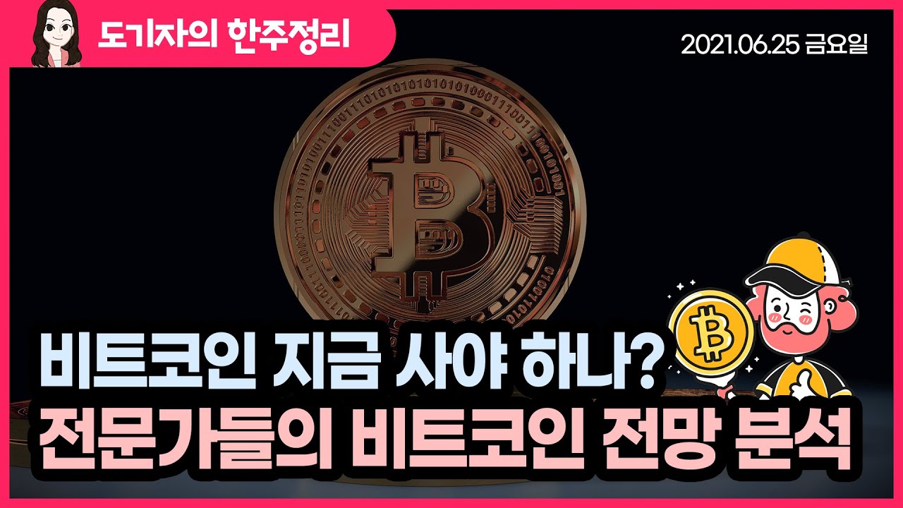 비트코인 지금 사야 하나? 말아야 하나? 전문가들의 비트코인 전망 집중 분석 l 도기자의 한 주 정리 - YouTube