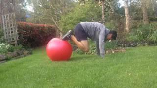 Day 18 - 22 Push-ups Challenge (Swissball Atomic Push-up)