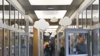 Profesija: IT administratorius