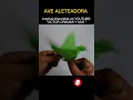 ave aleteadora  - origami (video muestra) #SHORTS