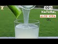 How to make natural aloe vera gel at home || Diy aloe vera gel