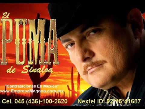 el puma de sinaloa canciones