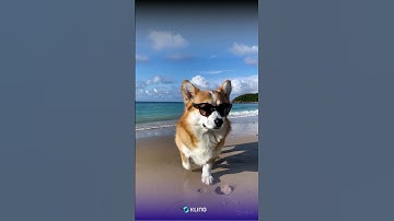 Checkout Kling AI, the Sensational Chinese Text-to-Video Model