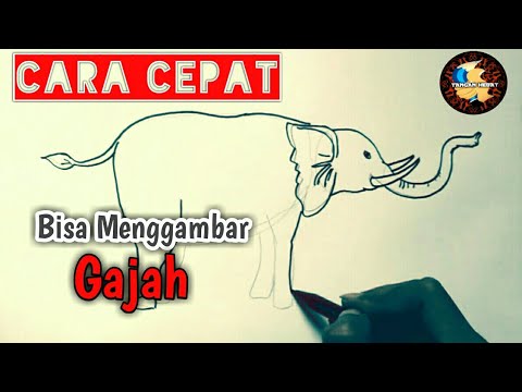  Cara  Mudah Menggambar  Gajah YouTube