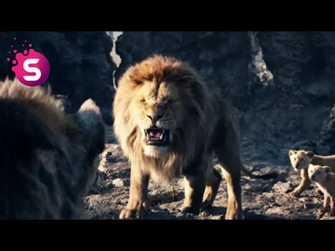 Kral Aslan Simba 2019 Whatsapp Durum ( King Lion Simba 2020 Whatsapp Status ) kral aslan türkçe full