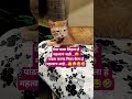 पांढरा कागद निळा केला हे महत्वाच आहे😜#trending #funnycat #simba #ytshorts #viral #Prafulla'sVlogs