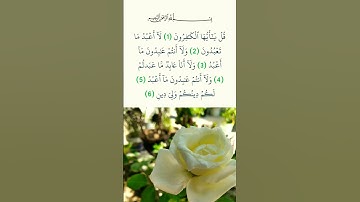 سورة الكافرون ❤️ القارئ إسلام صبحي
