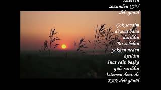 Şai̇r : Ahmet İpek - - - - Oy Deli̇ Gönül - - - Seslendi̇ren : Serni̇l Desti̇na