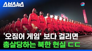 콧구멍에 SD카드 숨겨서 한국 드라마 보는 북한 상황/ 스브스뉴스