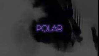 Polar Promotion Video