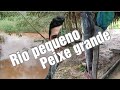 Rio surpreende com tamanho dos peixes