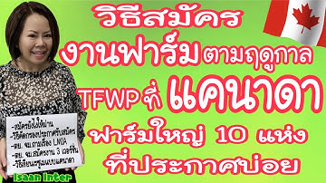 สมัครงานฟาร์มตามฤดูกาลในแคนาดา TFWP ที่รับคนไทย ฟาร์มที่รับสมัคร, ตย. จม.ถามLMIA, ตย. เรซูเม EP 203