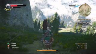 The Witcher 3 WTF Ablette