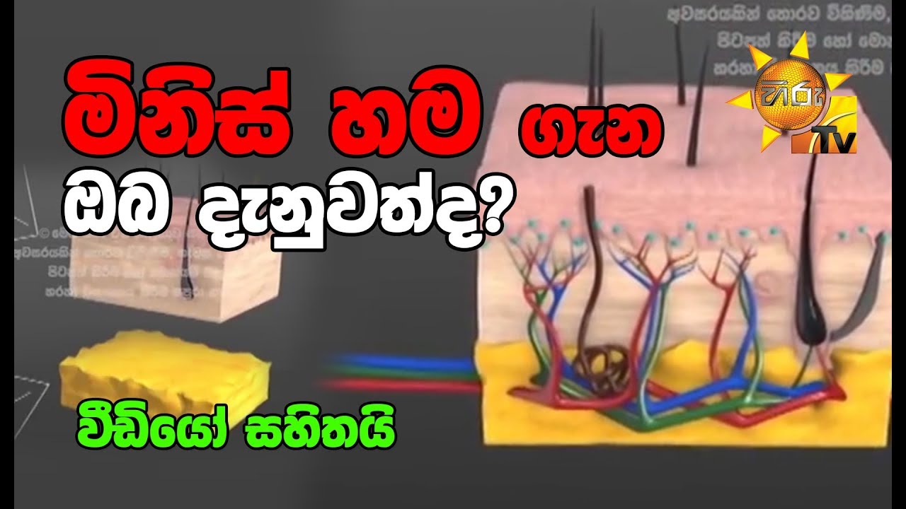 camera iphone 8 plus apk මිනිස් හම ගැන ඔබ දැනුවත්ද | වීඩියෝ සහිතයි