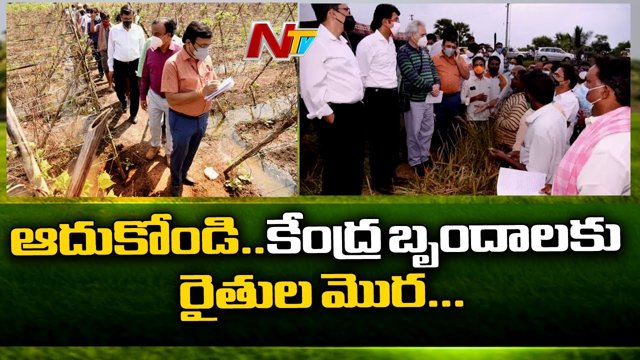 Central Govt Team Visits Flood Affected Areas in Tadepalligudem | Ntv ...