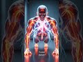 How Push-Ups Strengthen Your Body 💪 | 3D Transparent Anatomy