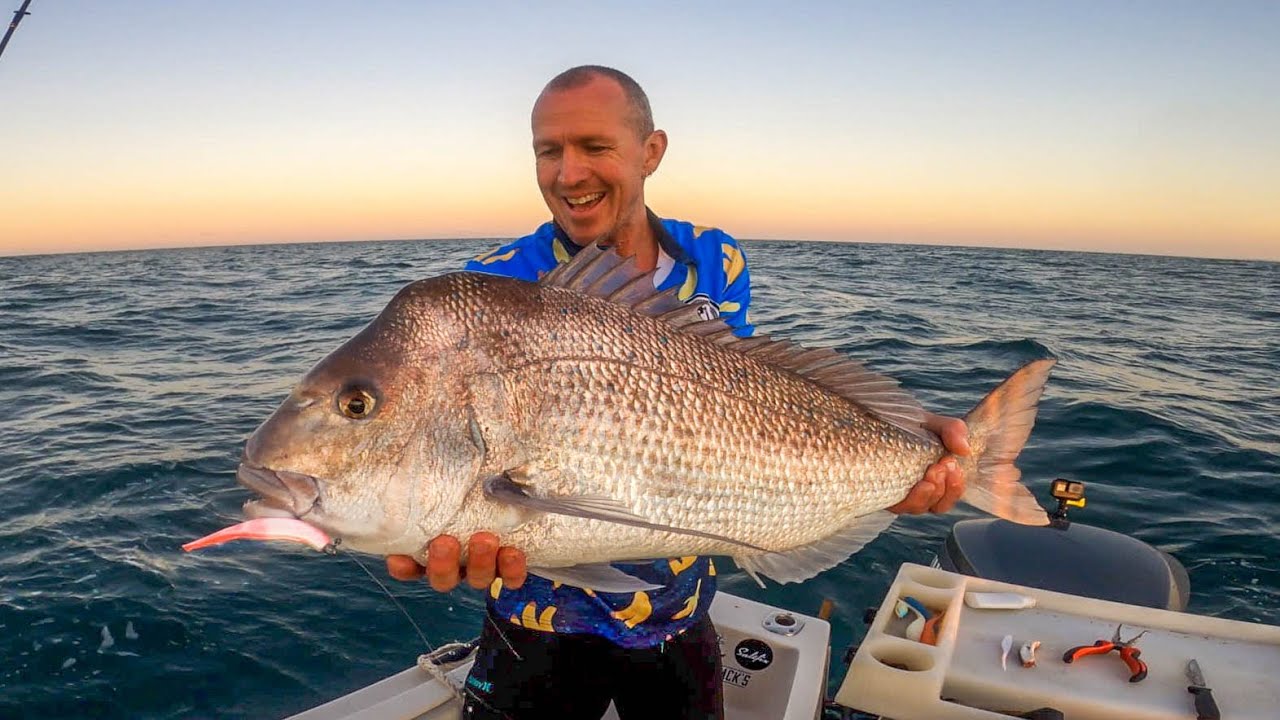 TAG And RELEASE Phat Snapper on Soft Plastic Lures in Shallow Water ...