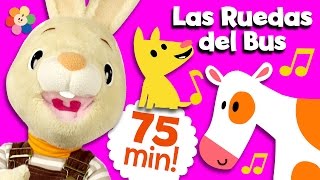 Compilación De Canciones Infantiles Rondas Infantiles Y Otros Canciones Para Niños Babyfirst