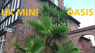 🌴 Tropical side garden in the UK - small patch of exotic paradise 🌞 by UNIQUE LIFE DESIGN 468 views 9 months ago 10 minutes, 7 seconds