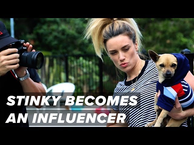 Stinky Becomes an Influencer || Keeping Up With The Cuties