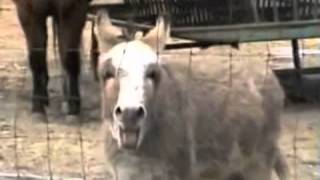 Nanocacao Crème Flintridge Ca Essentialoils Nanocacao Charleston West Virginia Wv