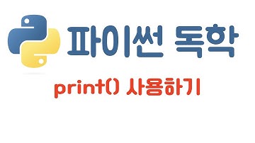 [Python] 2. print() 표준 출력 사용하기