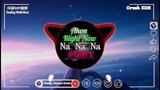 Akon - Right Now (Na Na Na) (抖音FKDJ版)｜最火BGM抖音｜Top Trending TikTok Gây Nghiện Hay Nhất