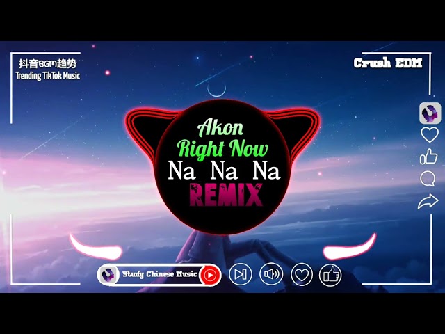 Akon - Right Now (Na Na Na) (抖音FKDJ版)｜最火BGM抖音｜Top Trending TikTok Gây Nghiện Hay Nhất class=