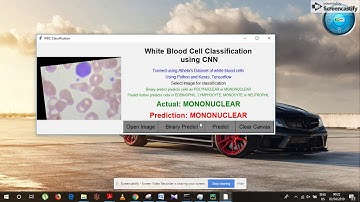 WBC Classification using CNN