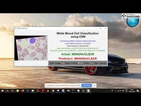 WBC Classification using CNN