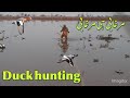 Duck hunting in pakistan  with mansor kiyani and jahangir malikjahangir hunting club