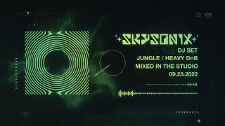 JUNGLE / HEAVY DnB MIX (2 HOURS) (Skysonix DJ Set) [Audio Visualizer]