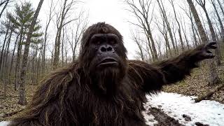 Bigfoot Responds to the Ohio Sightings (He Has Thoughts)