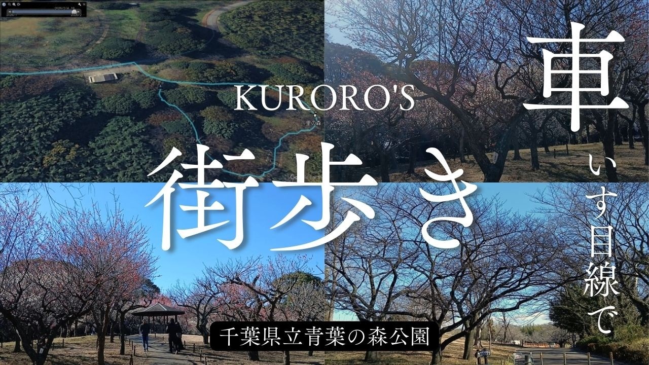 【車いす街歩き】2026年2月1日(日)　梅シーズン真っ只中！春を求めて青葉の森公園を歩く　公園前バス停～青葉の森公園南口～里の森～梅園～青葉の森芸術文化ホール