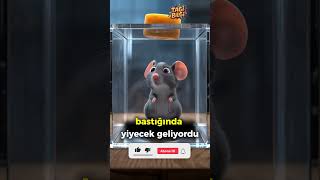 Neden Kaydırmayı Durduramıyorsun? Cevap Şaşirtici