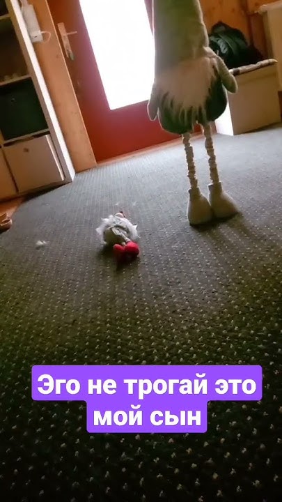 жалко сына 😢 v2 - YouTube