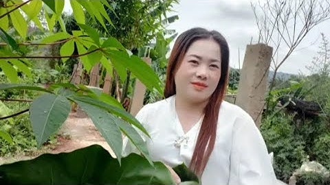 Mus tso qaib sib ncaws thiaj tau aim lawv poj niam sib xyaws mas zoo nyob tiag2 28/11/2024