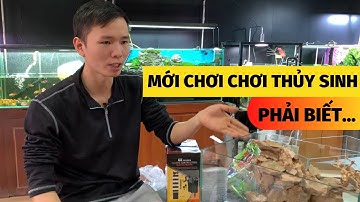 Hướng dẫn người mới chơi thủy sinh| lưu ý căn bản | Nguyễn Du aqua