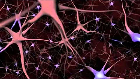 Neurons and What They Do ~ An Animated Guide