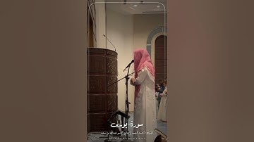 القارئ أحمد العبيد ﴿نُصيبُ بِرَحمَتِنا مَن نَشاءُ﴾ #تحبير 🎧✨