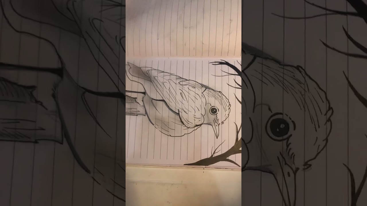 #cutebirddrawing