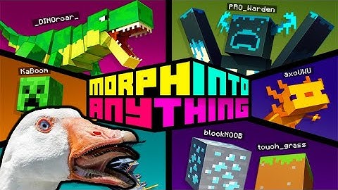 Minecraft Morph Into Anything Gameplay