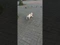 Что может быть Лучше утренней прогулки ❤️