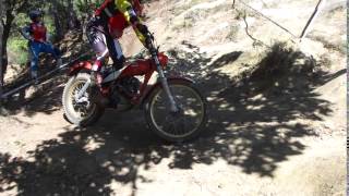 01081Saunders12