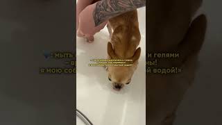 Мыло : 307874530 профилактика от грибка 🤌🏽