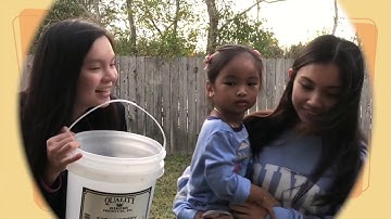 Circular Motion and Water Buckets